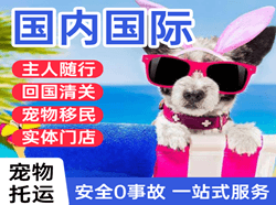 二连浩特赛乌素机场快运国际宠物托运 【国